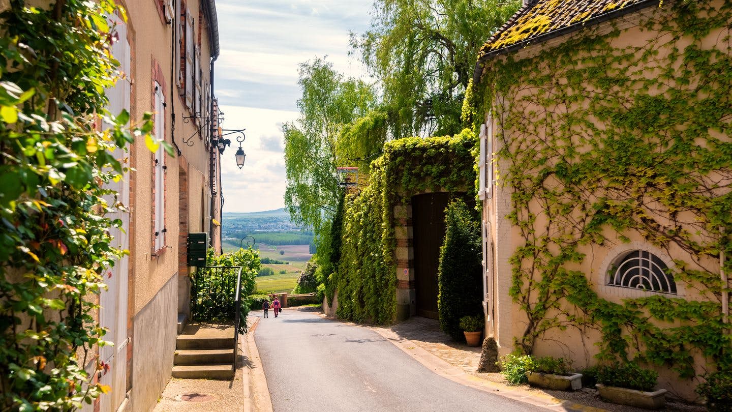 En gate på landsbygda i Champagne